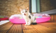 如何利用instagram内容优化做好跨境电商推广