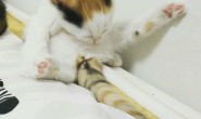 Instagram涨粉哪家强?Instagram加粉攻略