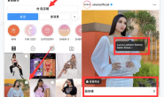 跨境电商Instagram广告营销及账号运营介绍